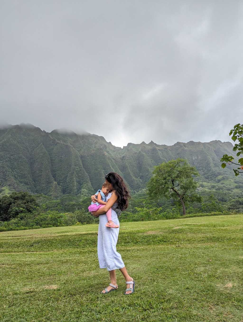 Embracing the Journey